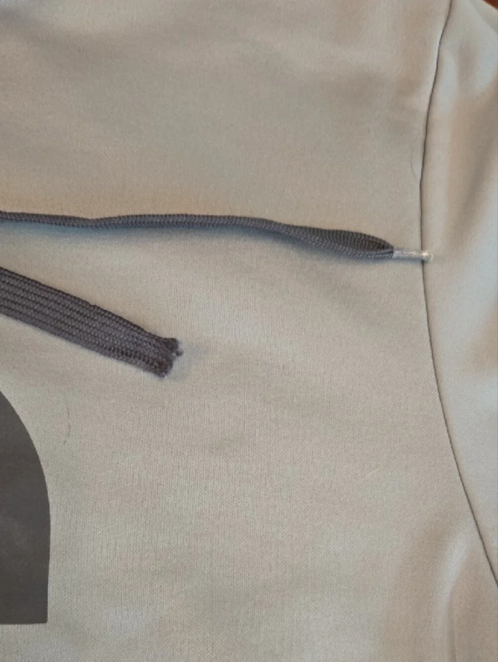 The North Face Pale Blue Pullover Hoodie with Gray Logo